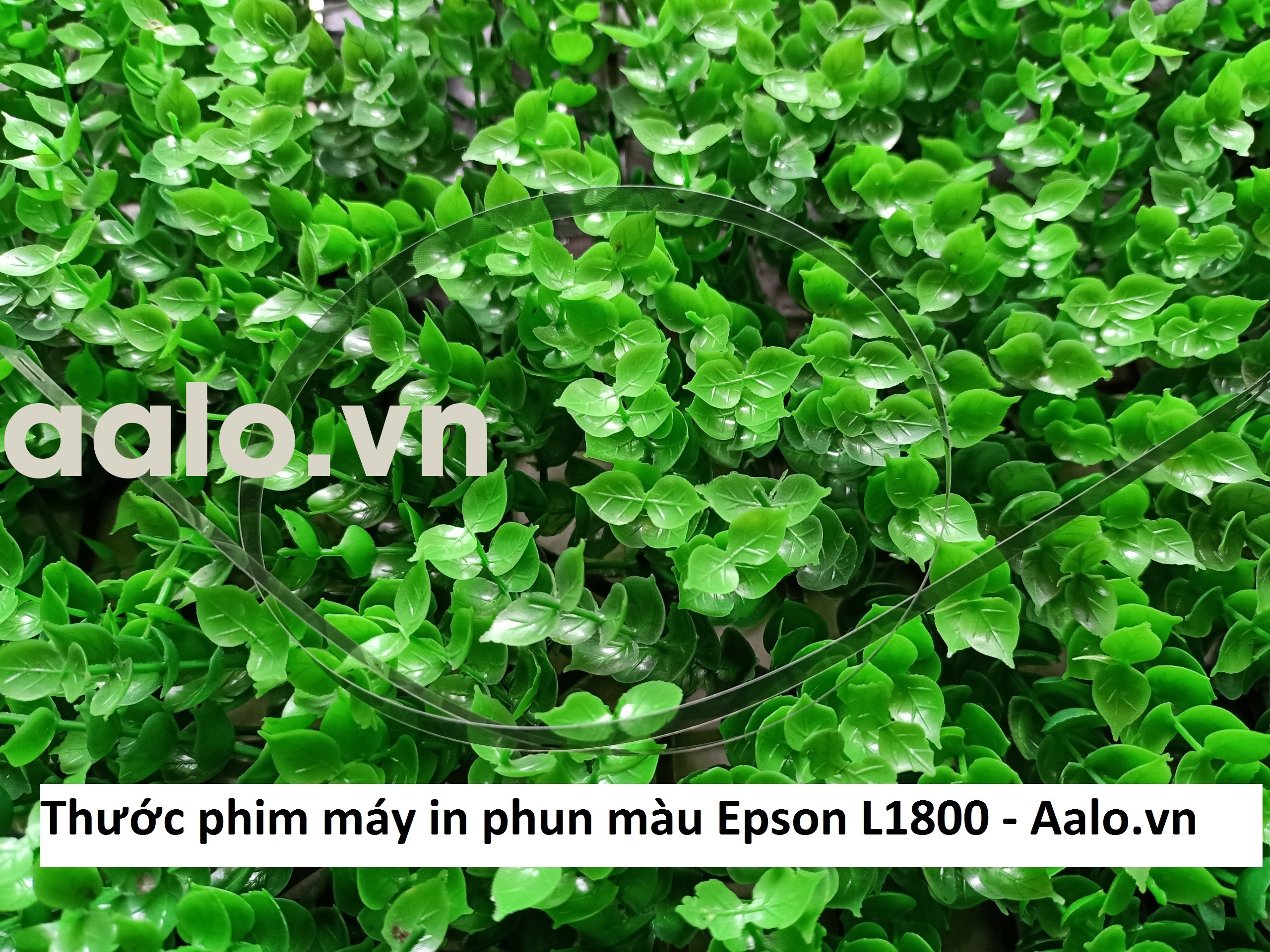 Thước phim máy in phun màu Epson L1800